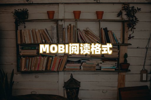MOBI阅读格式