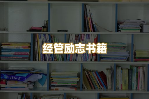 经管励志书籍